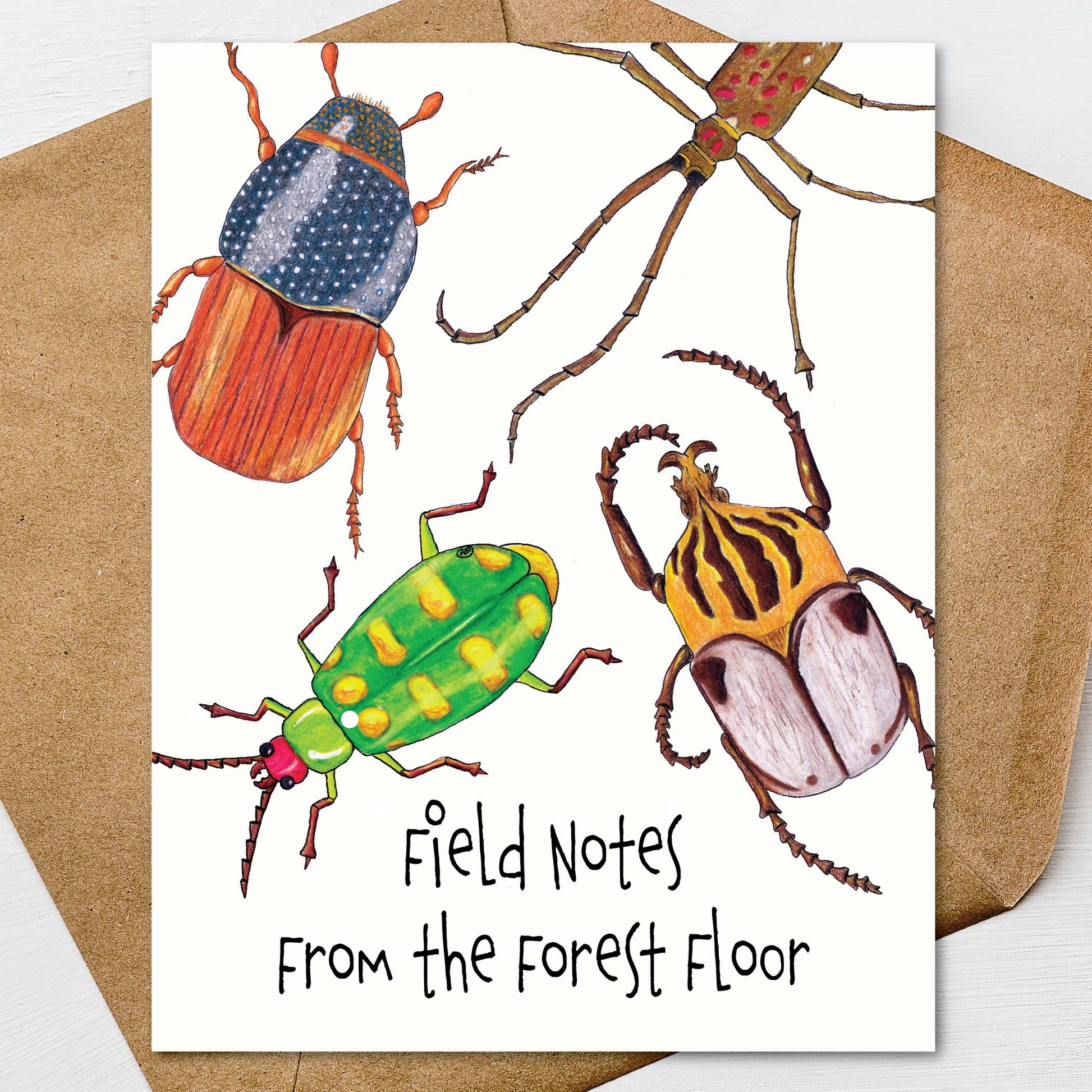 Hand illustrated beetle notecard set featuring colorful insect artwork and entomology theme