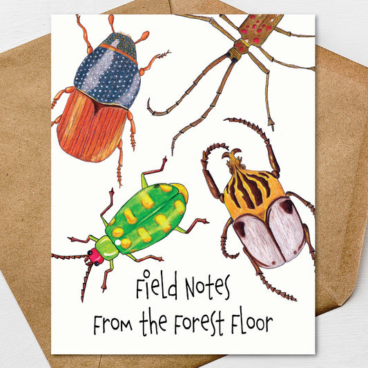 Hand illustrated beetle notecard set featuring colorful insect artwork and entomology theme