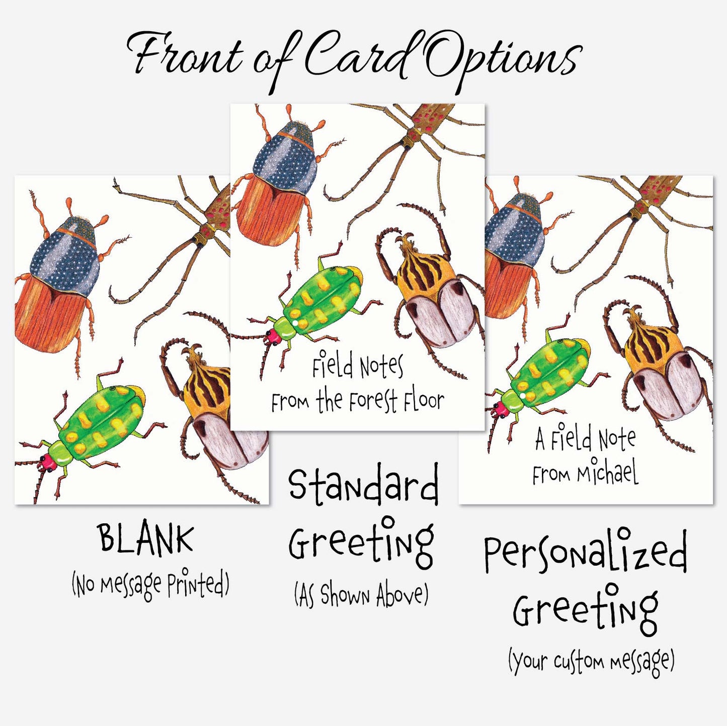 Colorful beetle note cards designed for insect lovers and nature enthusiasts