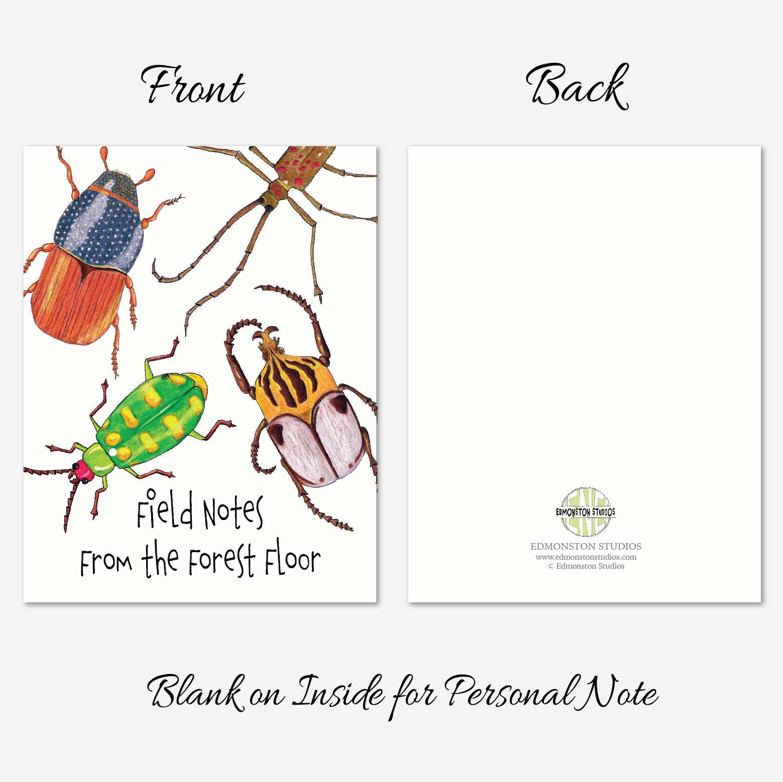 Beetle notecards printed on premium textured cardstock
