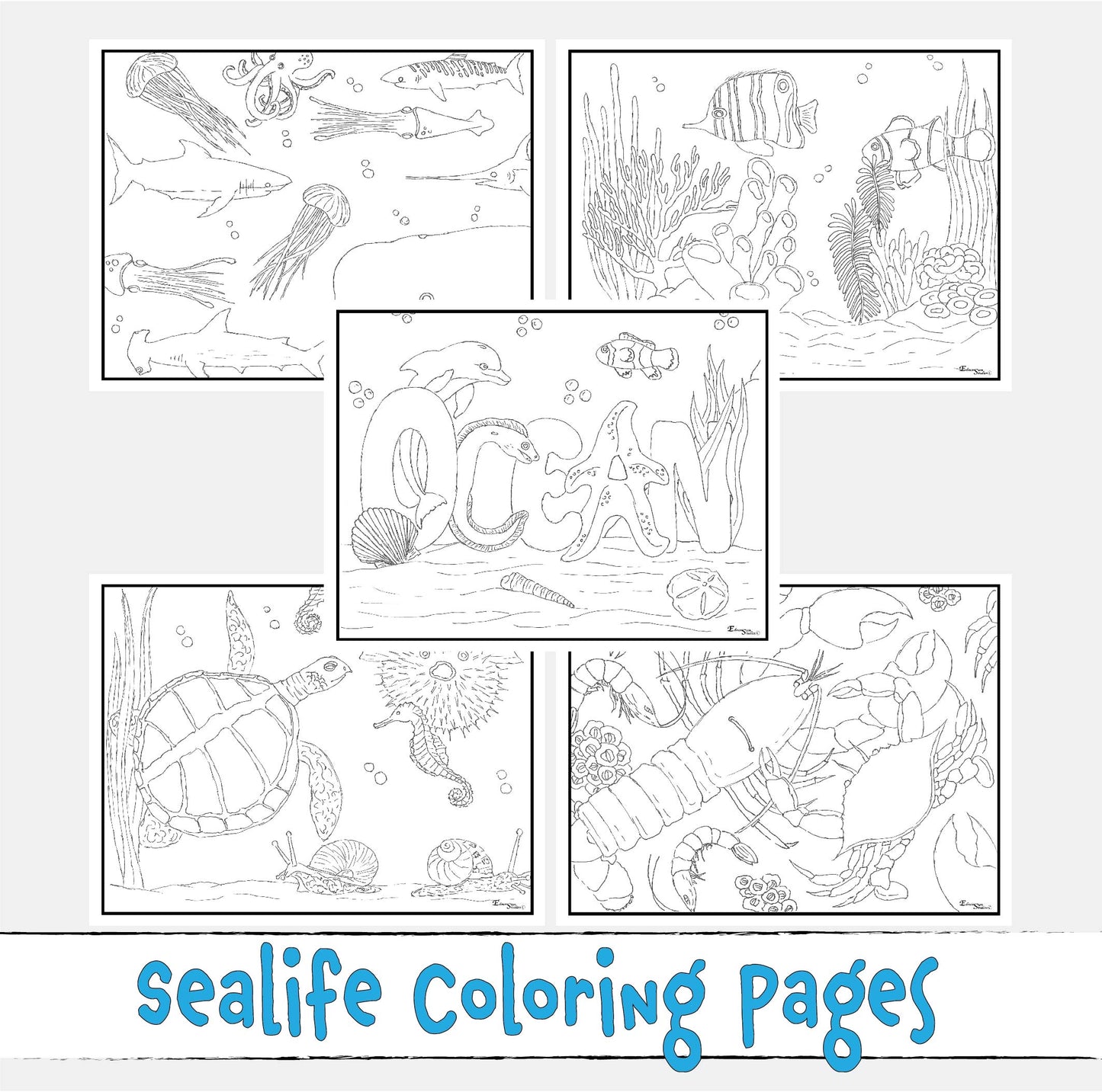 Ocean Life Coloring Pages with Sea Ceatures